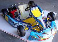 NEW KART MINI BEBI MOTORE 50CC NUOVO