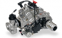 NEW ROTAX 125 DD2